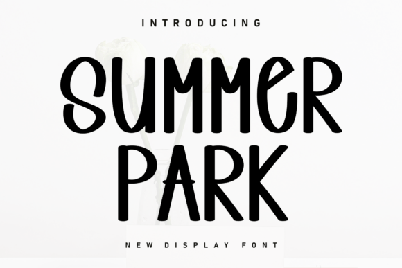 Summer Park: The Handwritten Display Font That Elevates Small Business Branding
